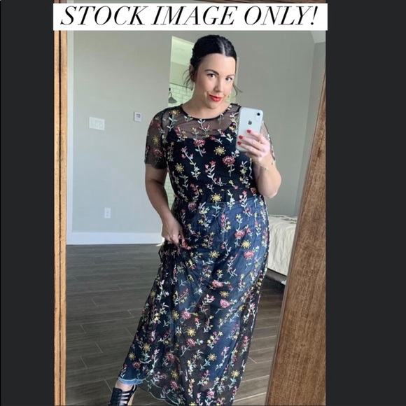 Size XS Deanne II sheer embroidered overlay dress - Picture 5 of 6